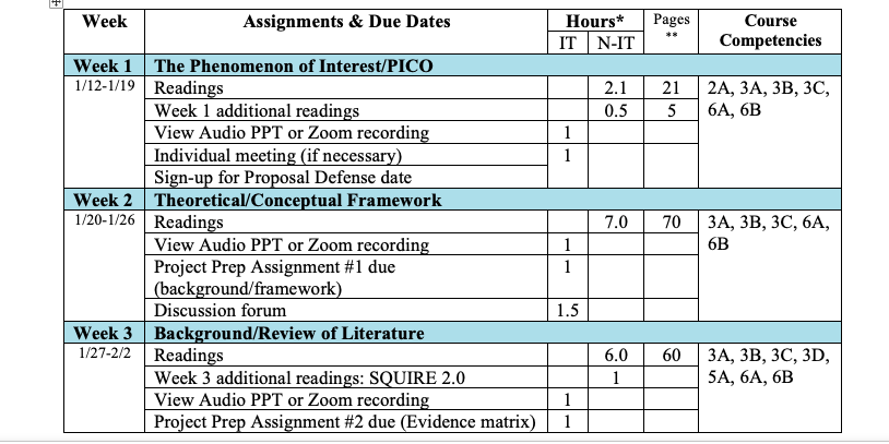 screenshot from nursing course illustrating how IT and NIT hours are outlined in course schedule