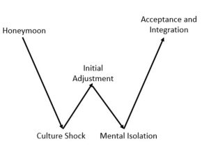 Points on the W - honeymoon, culture shock, initial adjustment, mental isolation, acceptance and integration
